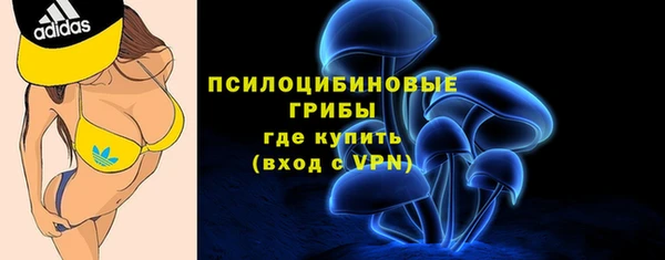 марки nbome Бородино
