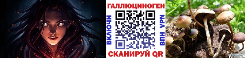 дарнет шоп  Карабулак  Галлюциногенные грибы Magic Shrooms 